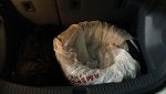 20170422_151053.jpg